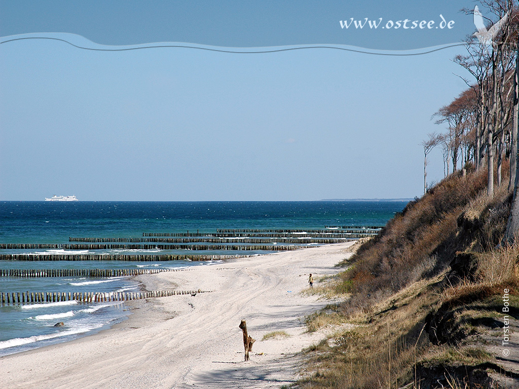 Hintergrundbild: Steilküste an der Ostsee