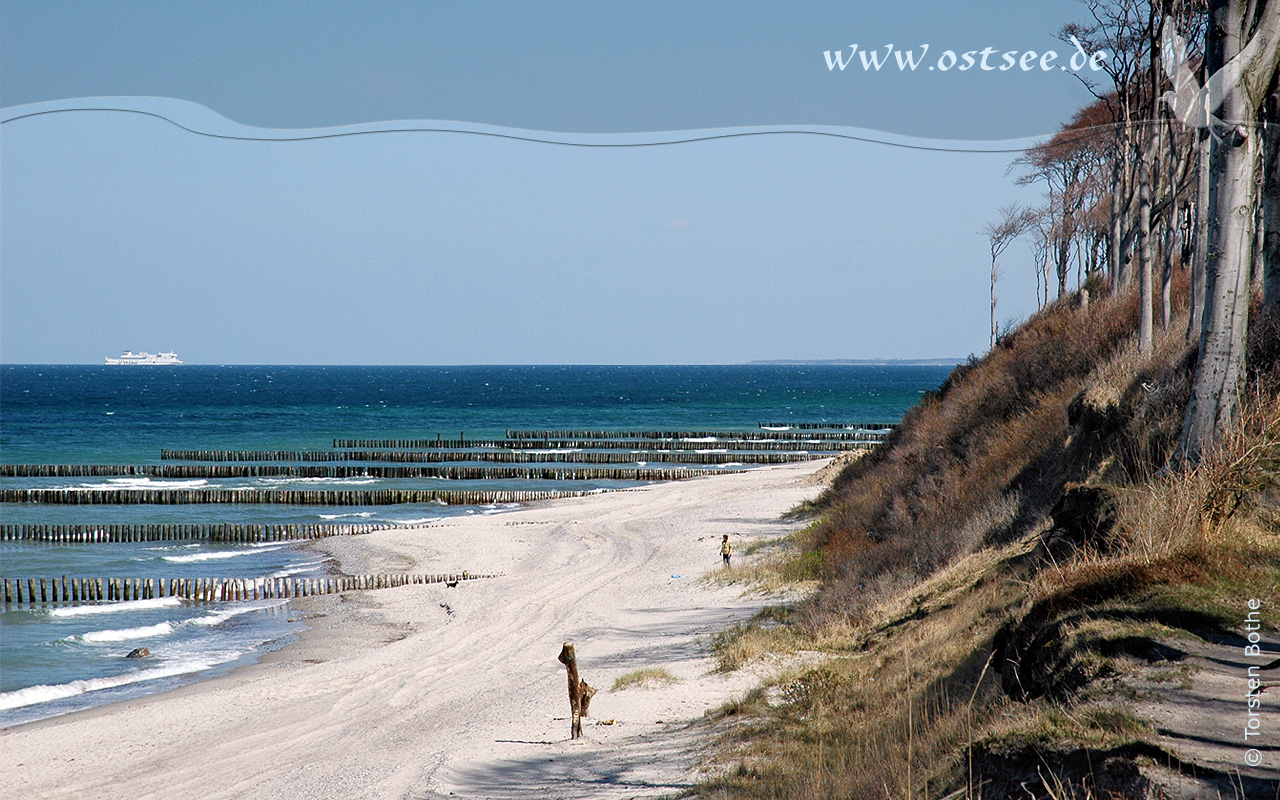 Hintergrundbild: Steilküste an der Ostsee