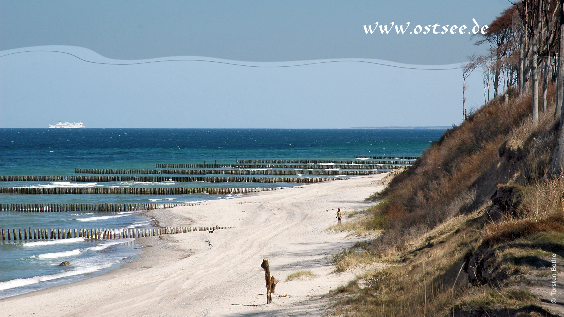 Hintergrundbild: Steilküste an der Ostsee