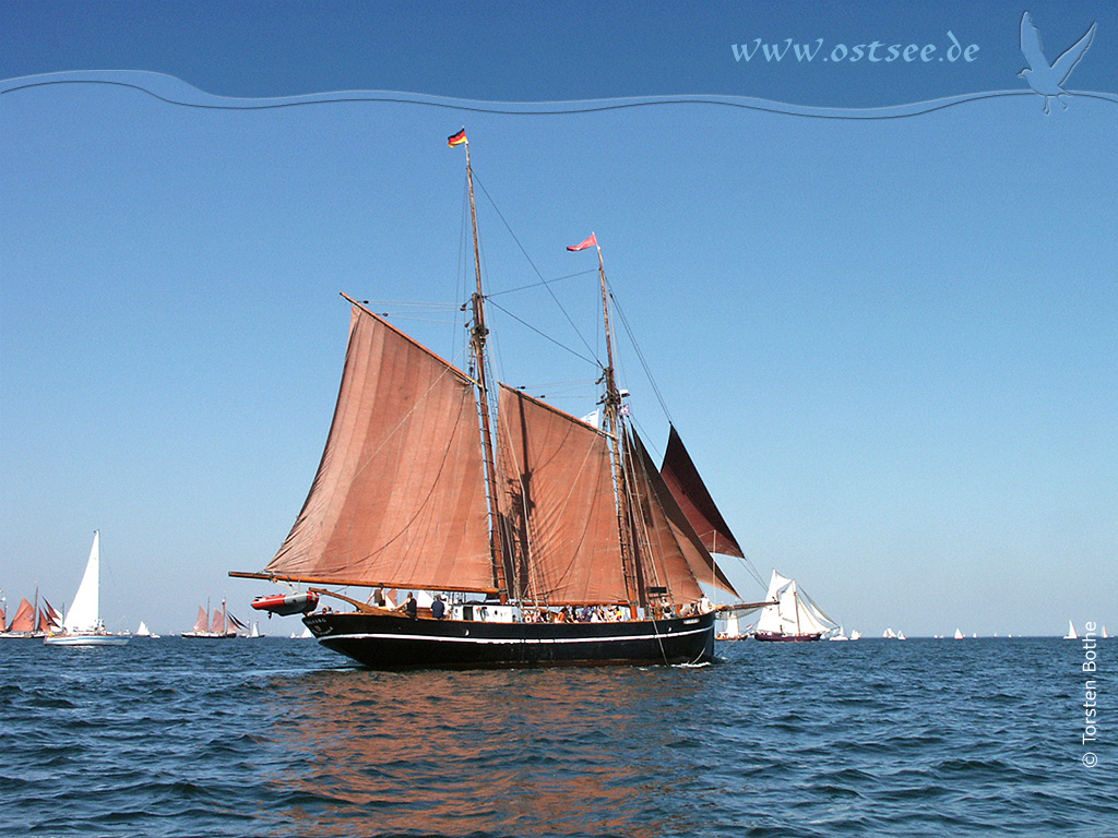 Großsegler auf der Ostsee