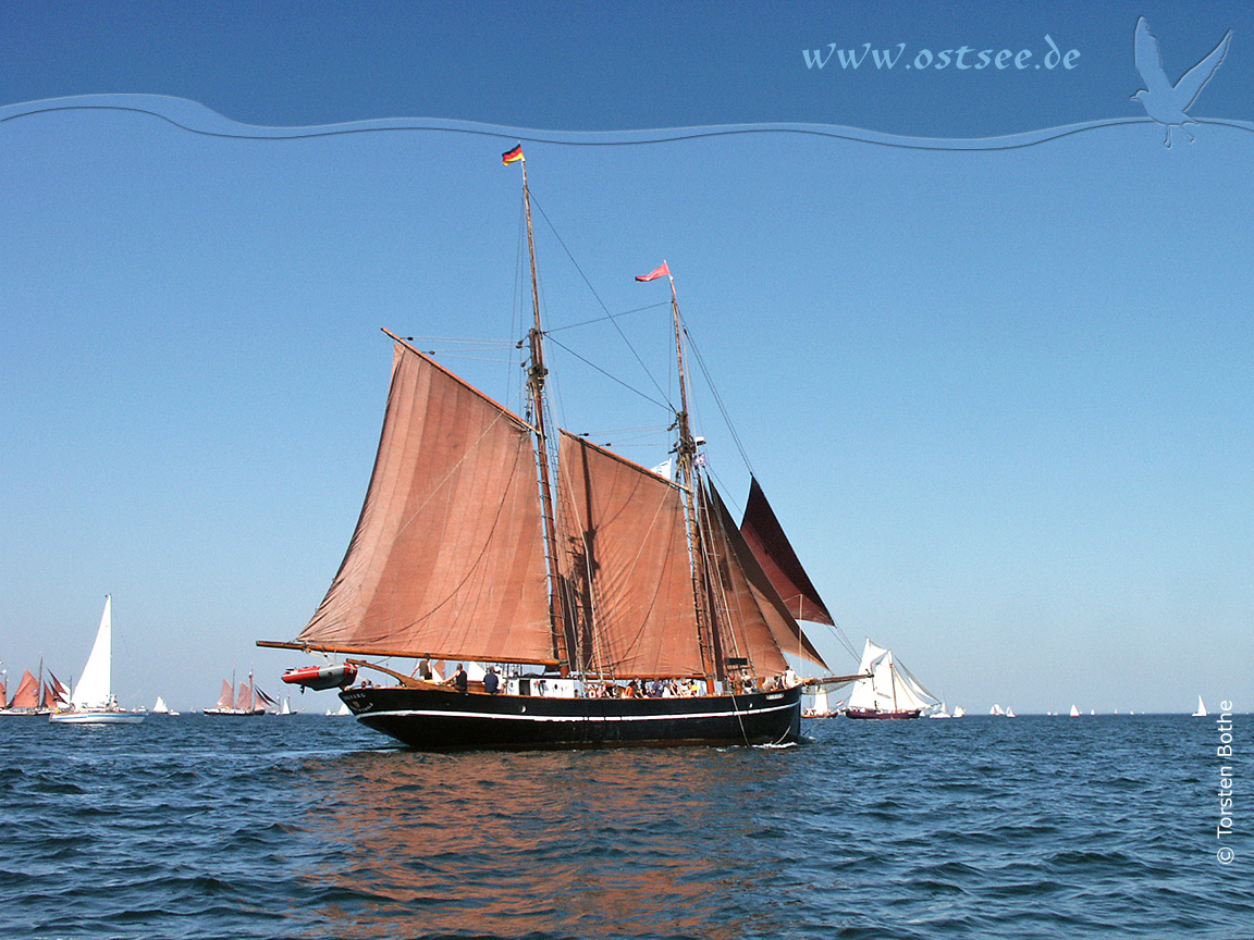 Großsegler auf der Ostsee