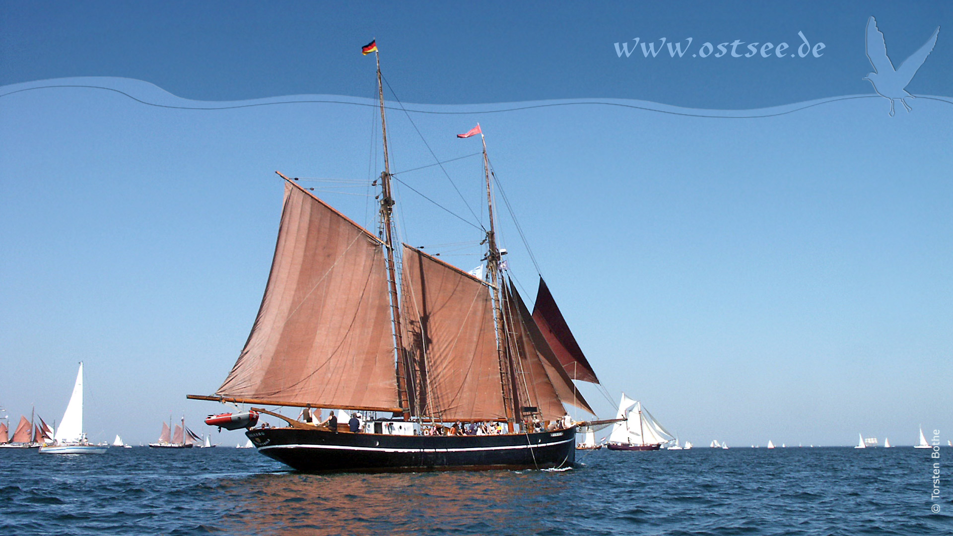 Großsegler auf der Ostsee