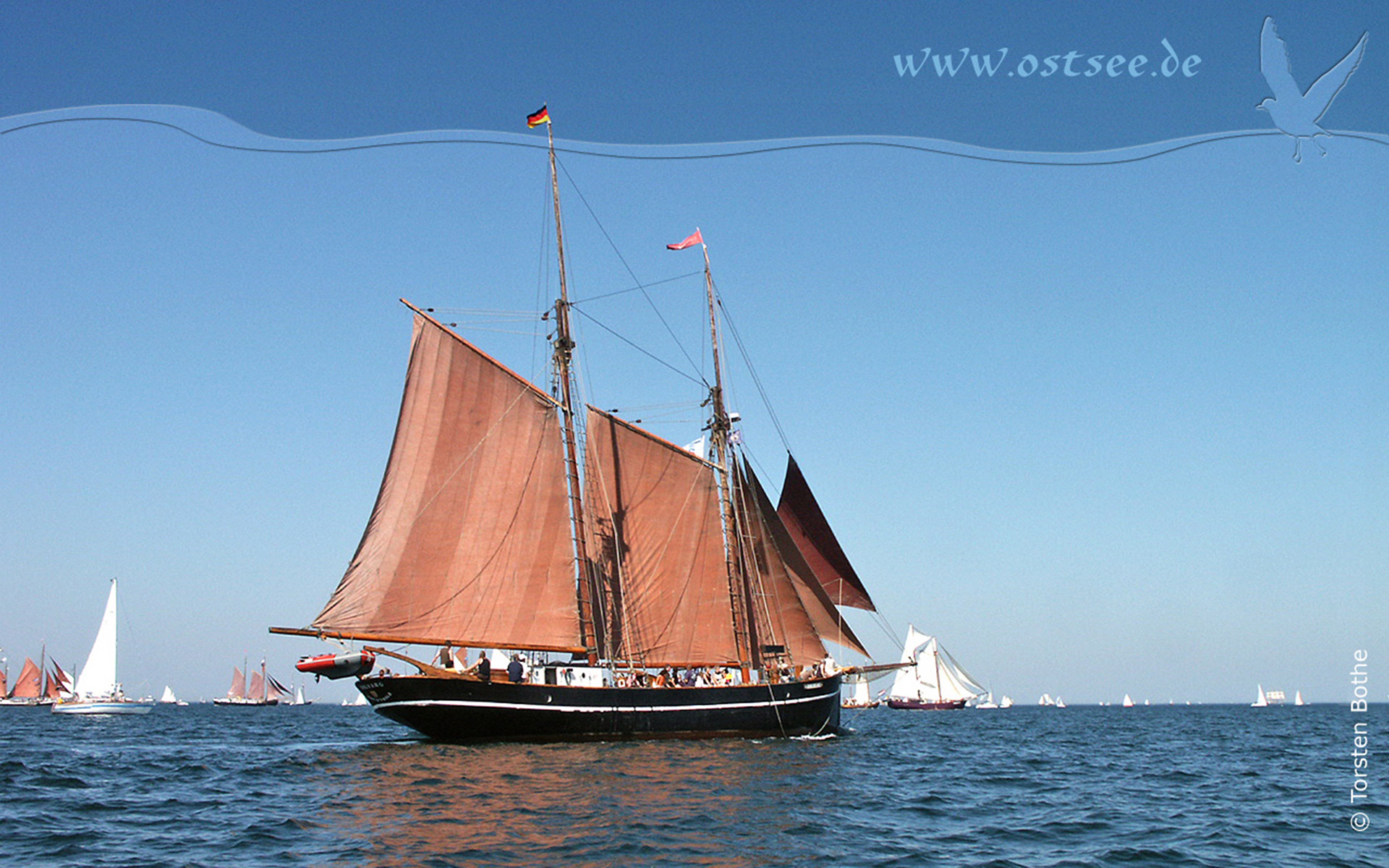 Großsegler auf der Ostsee