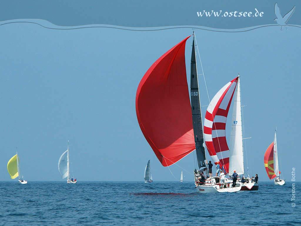 Segler auf der Ostsee