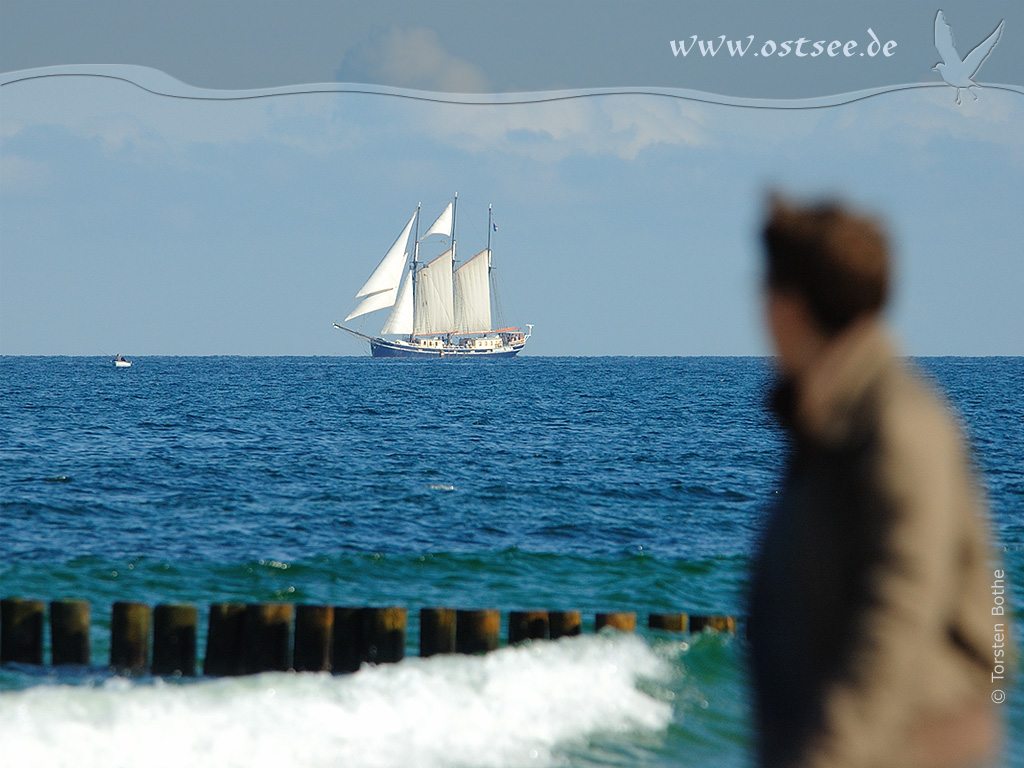 Hintergrundbild: Großsegler auf der Ostsee