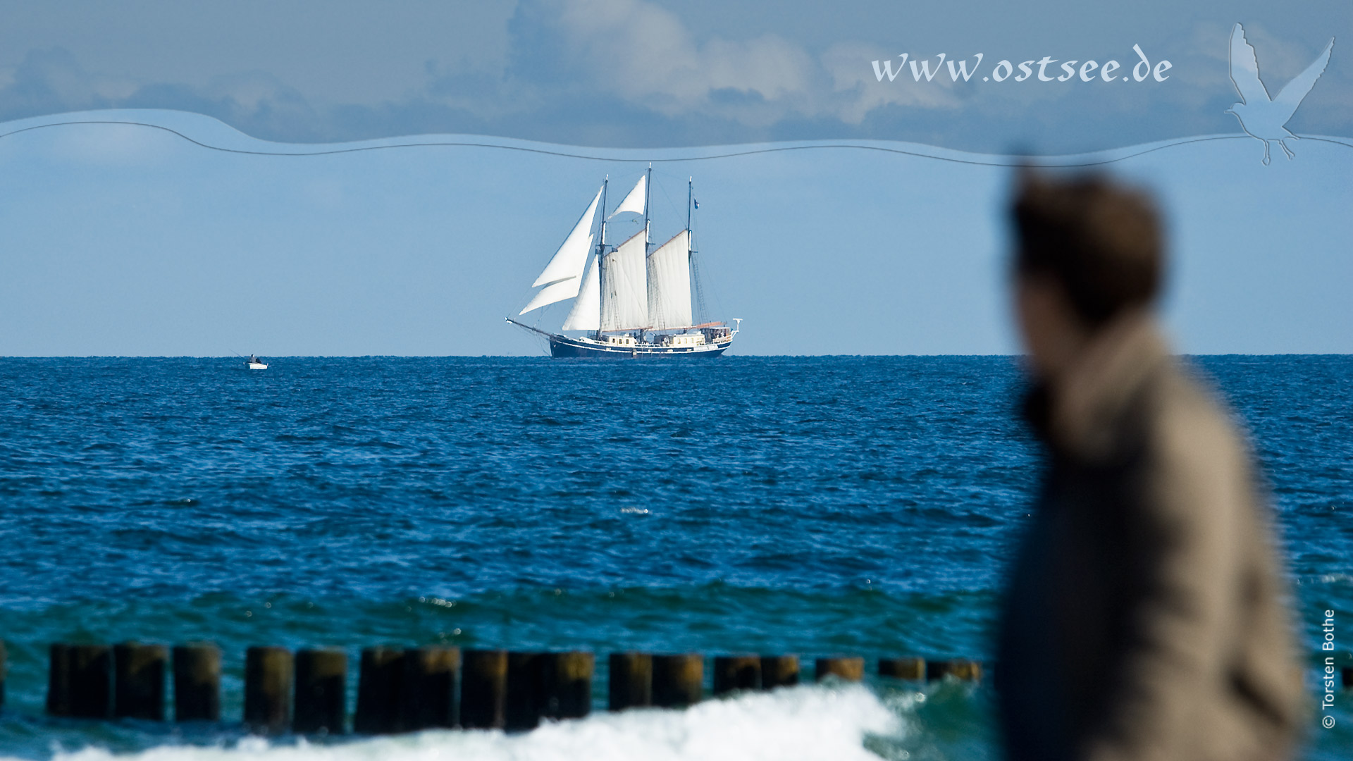 Großsegler auf der Ostsee