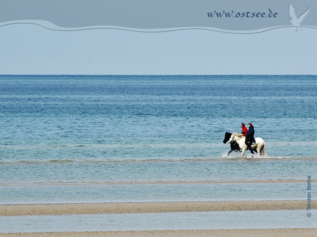 Hintergrundbild: Reiter in der Ostsee