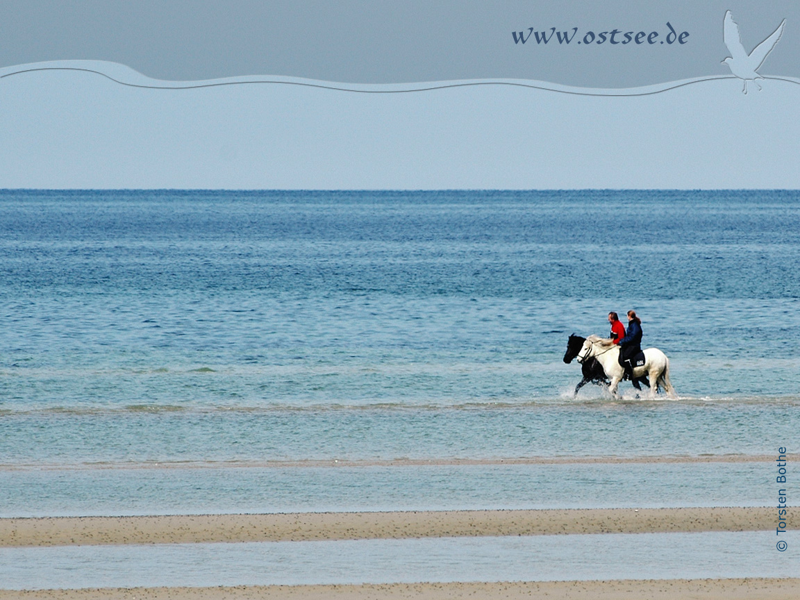 Hintergrundbild: Reiter in der Ostsee