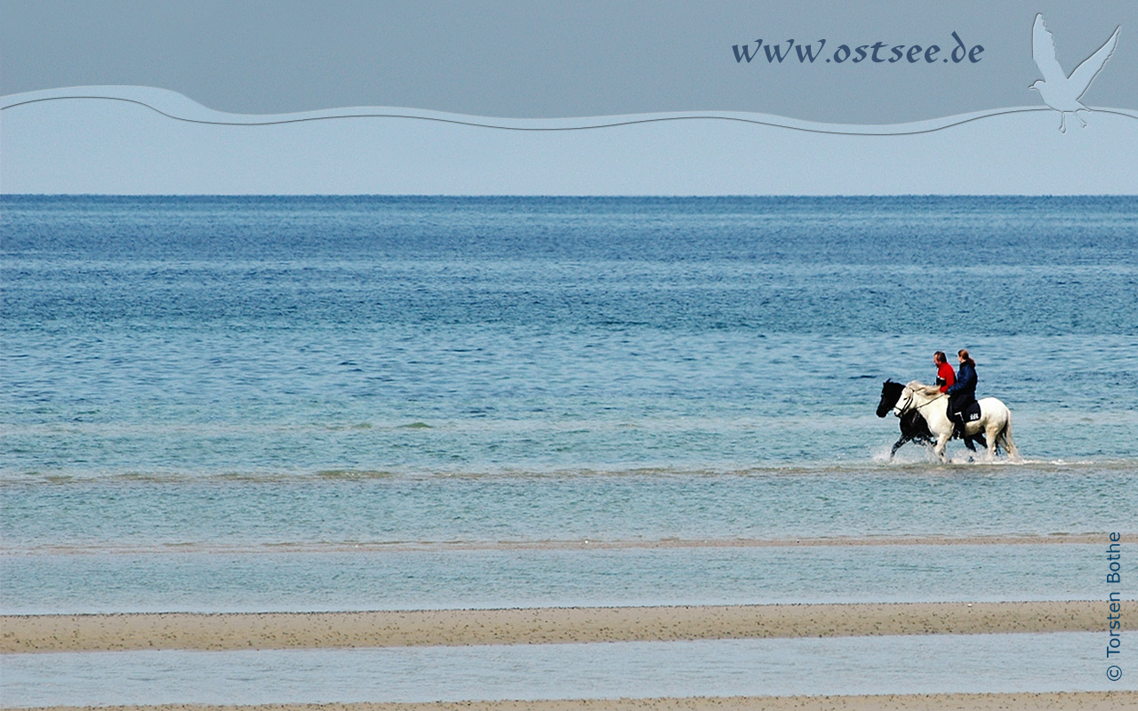 Hintergrundbild: Reiter in der Ostsee