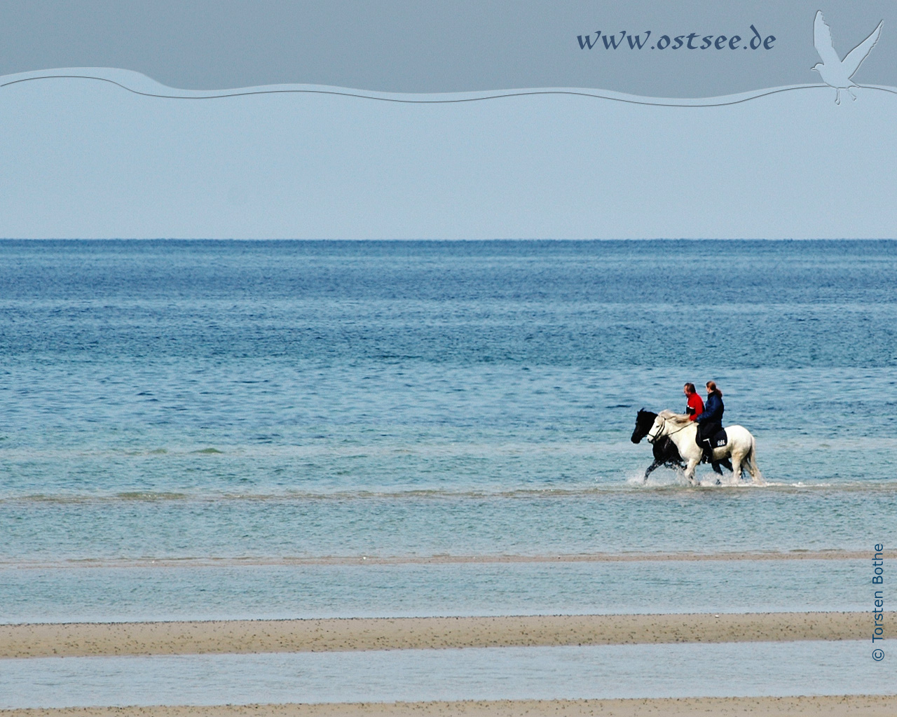 Reiter in der Ostsee