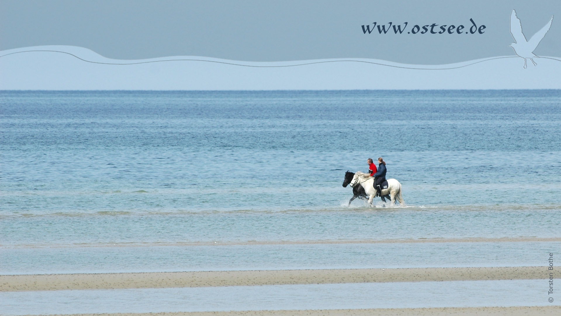 Hintergrundbild: Reiter in der Ostsee