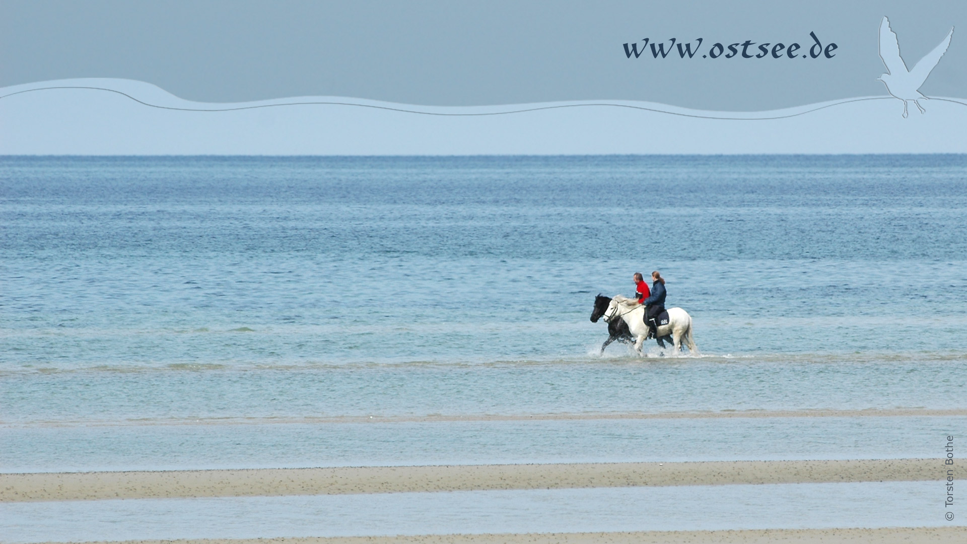 Reiter in der Ostsee