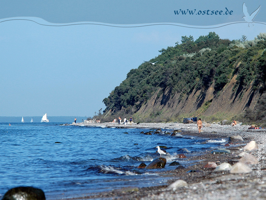 Hintergrundbild: Naturstrand an der Ostsee