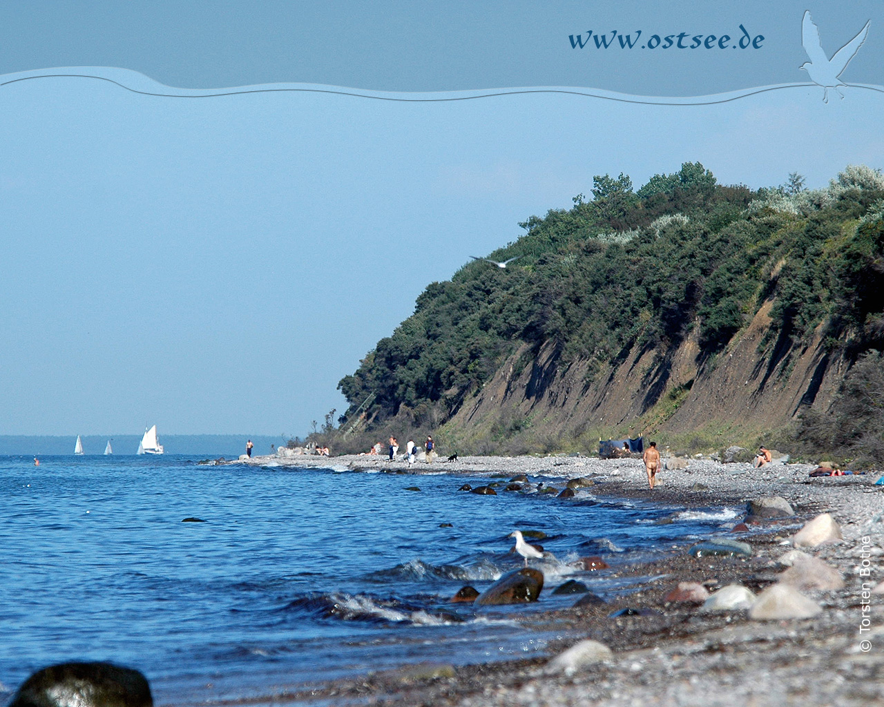 Hintergrundbild: Naturstrand an der Ostsee