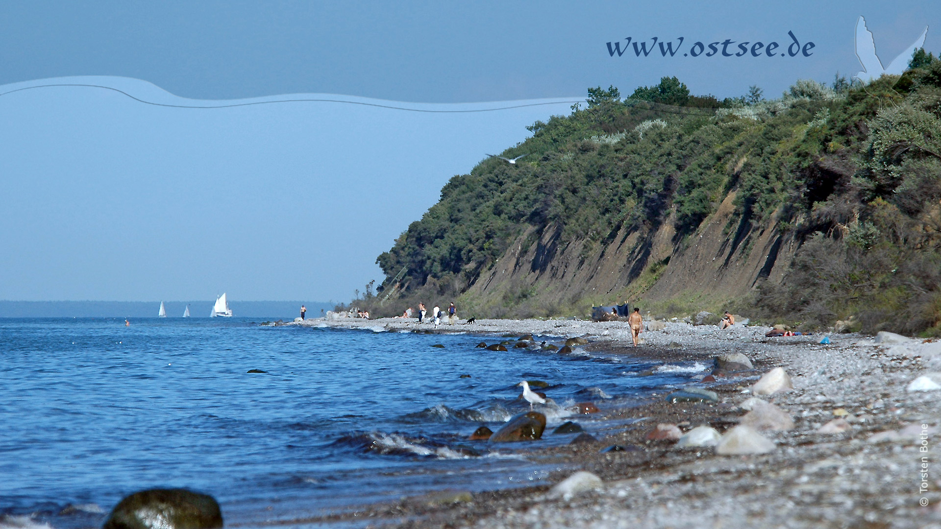 Hintergrundbild: Naturstrand an der Ostsee