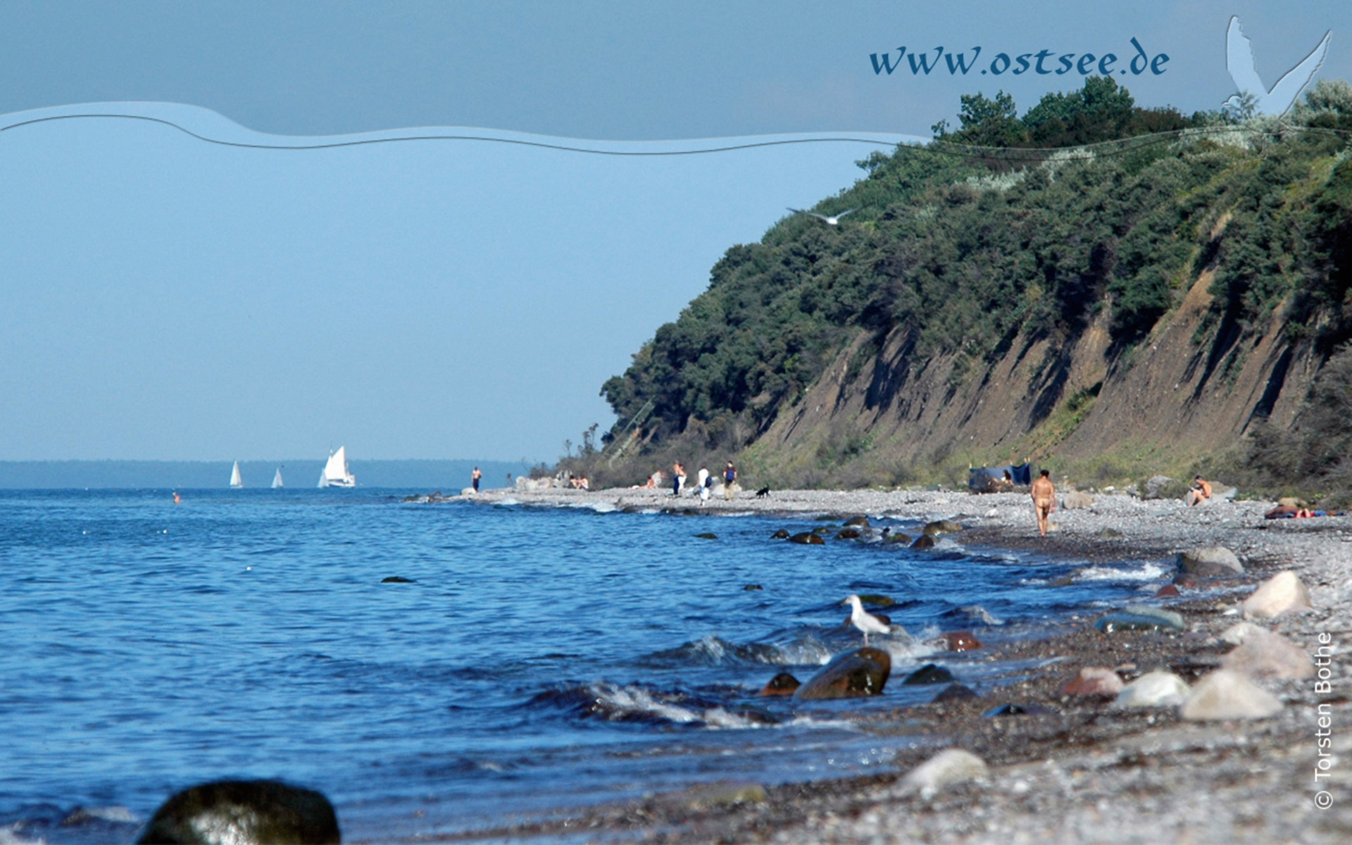 Naturstrand an der Ostsee