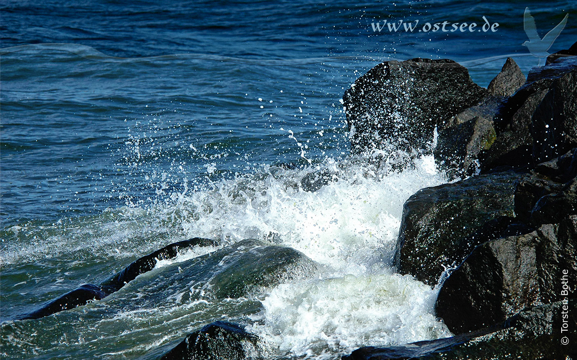 Brandungswellen an der Ostsee