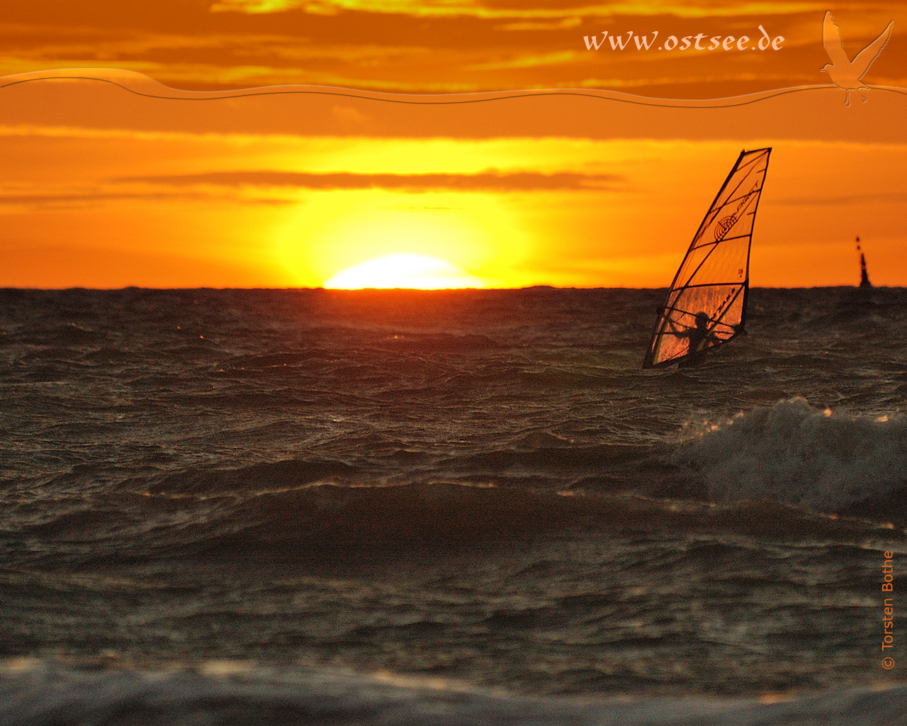 Hintergrundbild: Surfen im Sonnenuntergang