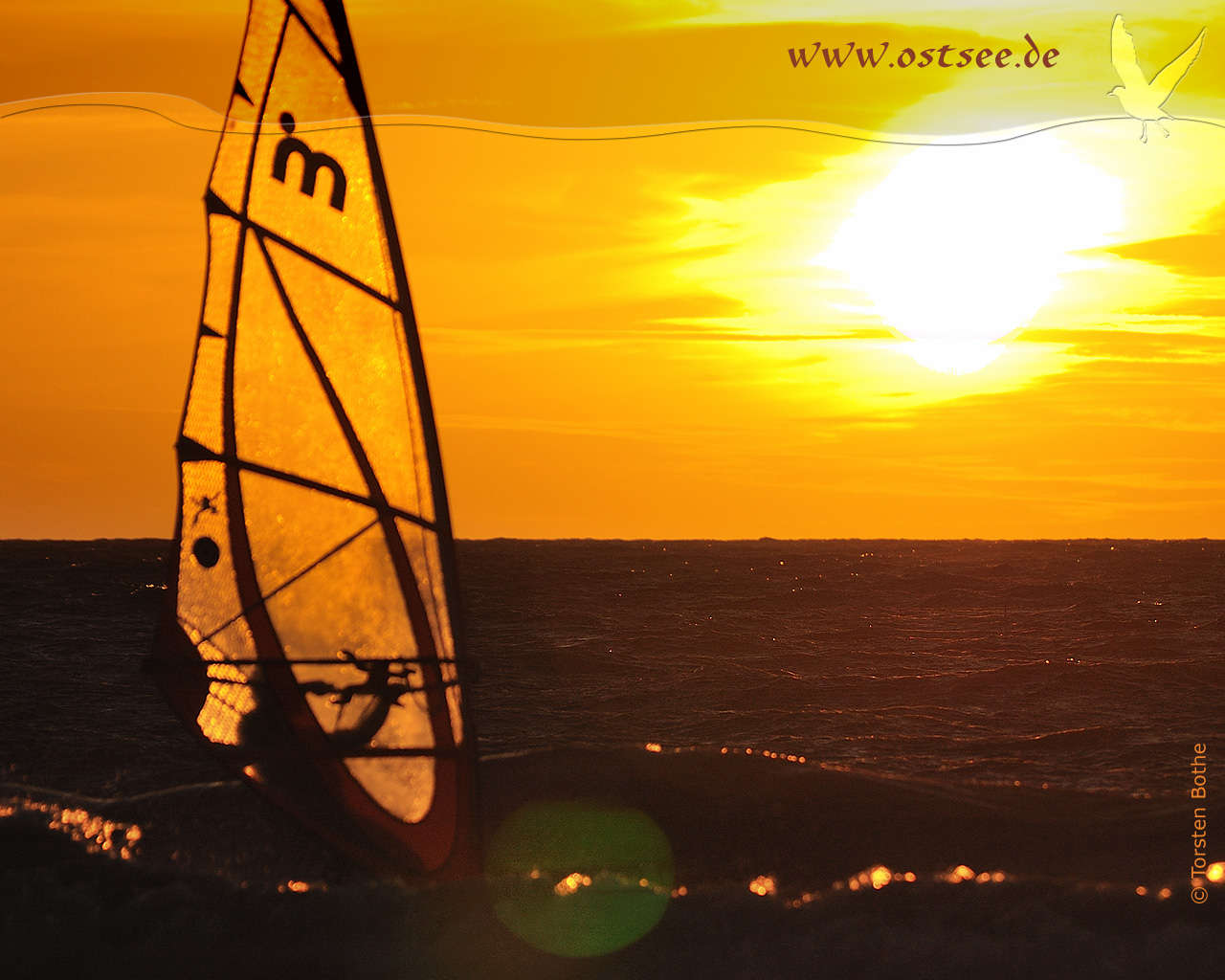 Hintergrundbild: Windsurfen im Sonnenuntergang