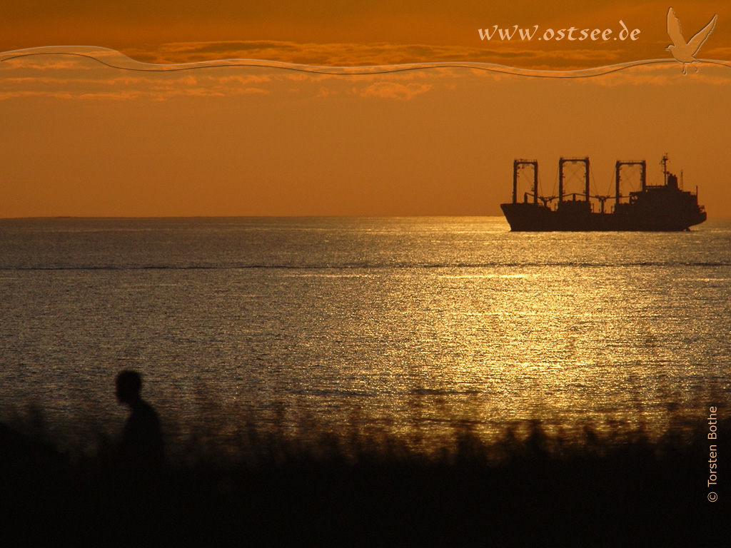 Hintergrundbild: Sonnenuntergang an der Ostsee