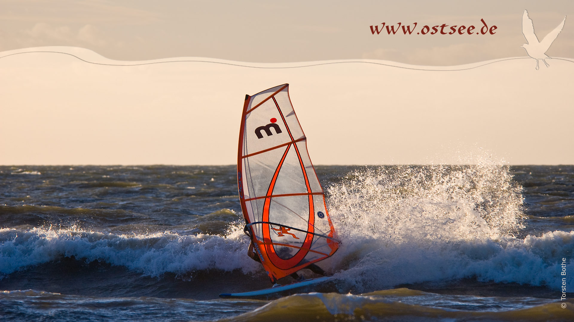 Surfer auf der Ostsee