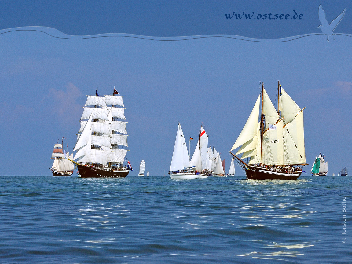 Großsegler auf der Ostsee