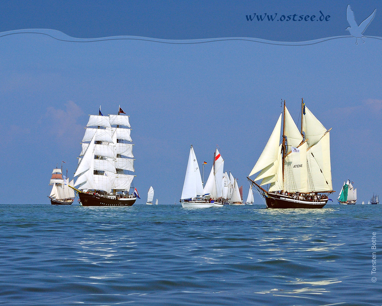 Großsegler auf der Ostsee