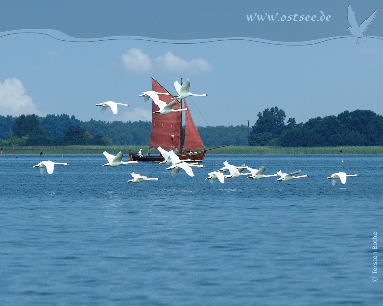 Hintergrundbild: Schwäne und Zeesboot an der Ostsee