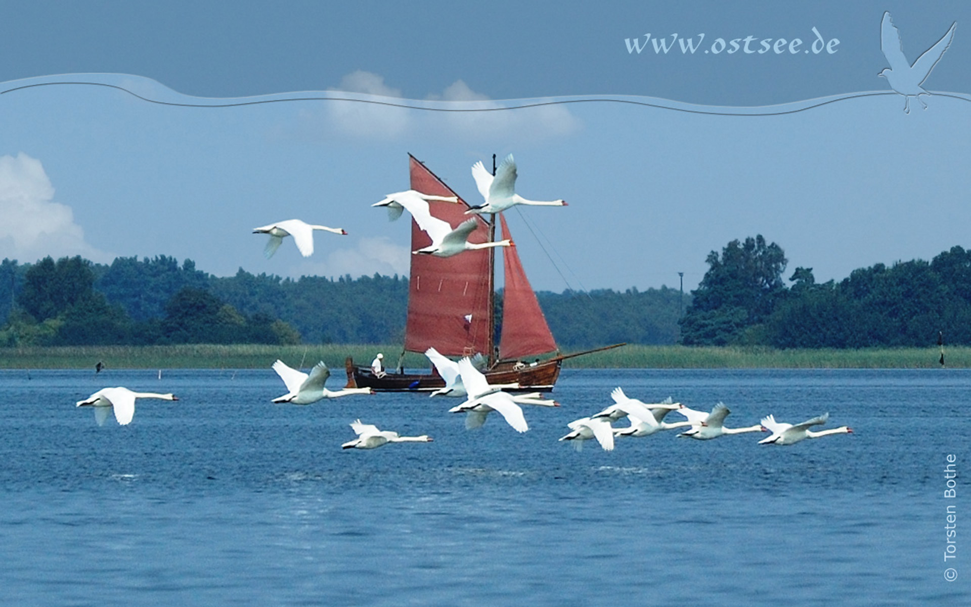 Hintergrundbild: Schwäne und Zeesboot an der Ostsee