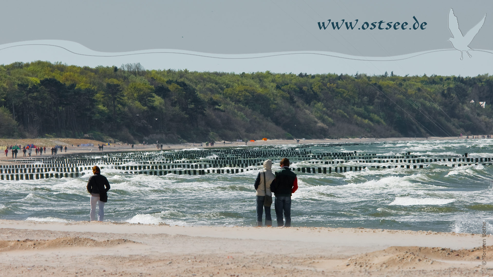 Hintergrundbild: Strandspaziergang an der Ostsee Hintergrundbild: Strandspaziergang an der Ostsee