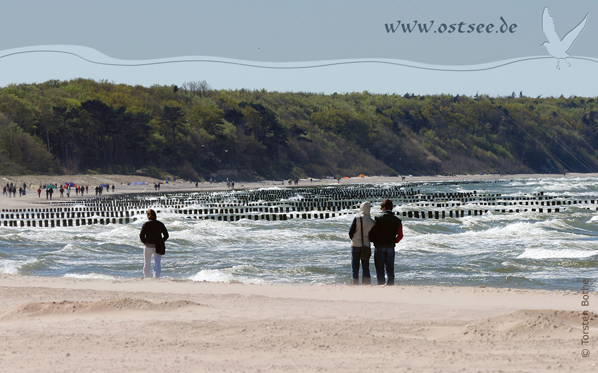 Hintergrundbild: Strandspaziergang an der Ostsee Hintergrundbild: Strandspaziergang an der Ostsee