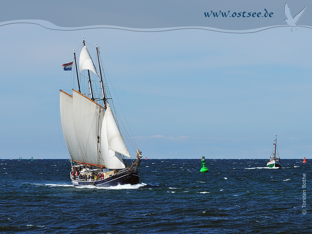 Großsegler auf der Ostsee