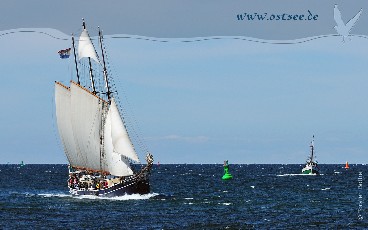 Großsegler auf der Ostsee