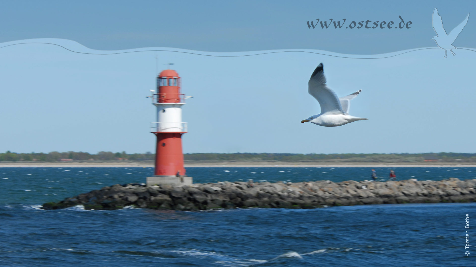 Hintergrundbild: Möwe an der Ostsee