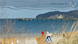 Seebrücken an der Ostsee