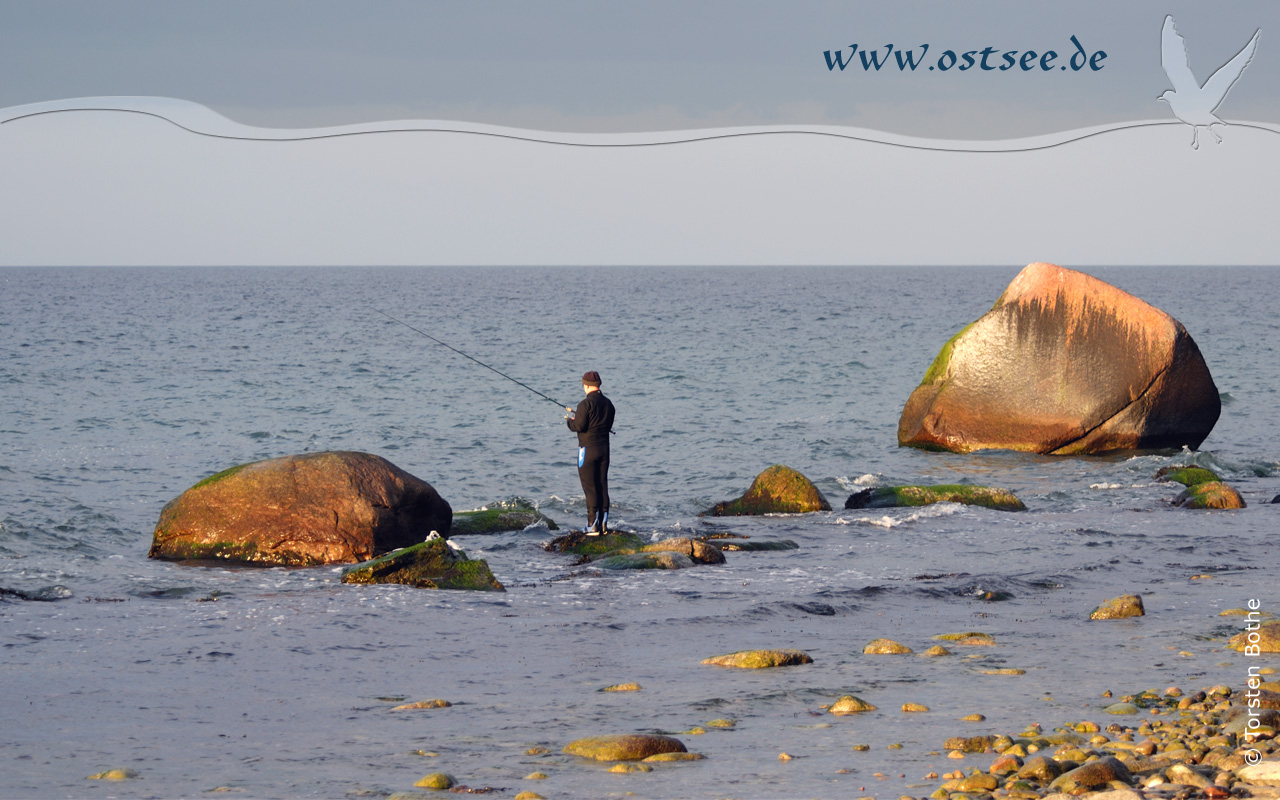 Hintergrundbild: Strandangeln an der Ostsee