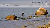 Strandangeln an der Ostsee