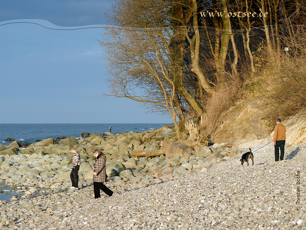 Naturstrand an der Ostsee