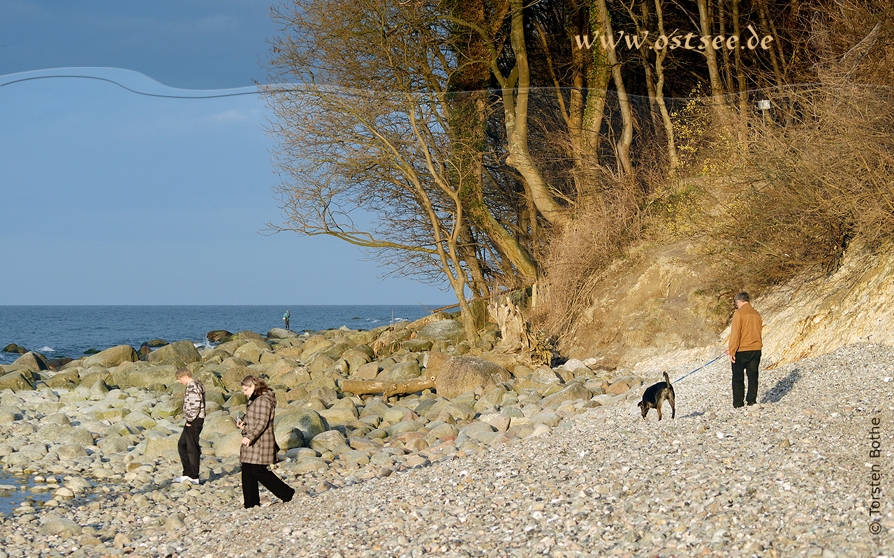 Hintergrundbild: Naturstrand an der Ostsee