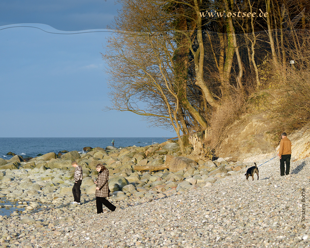 Hintergrundbild: Naturstrand an der Ostsee