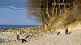 Naturstrand an der Ostsee