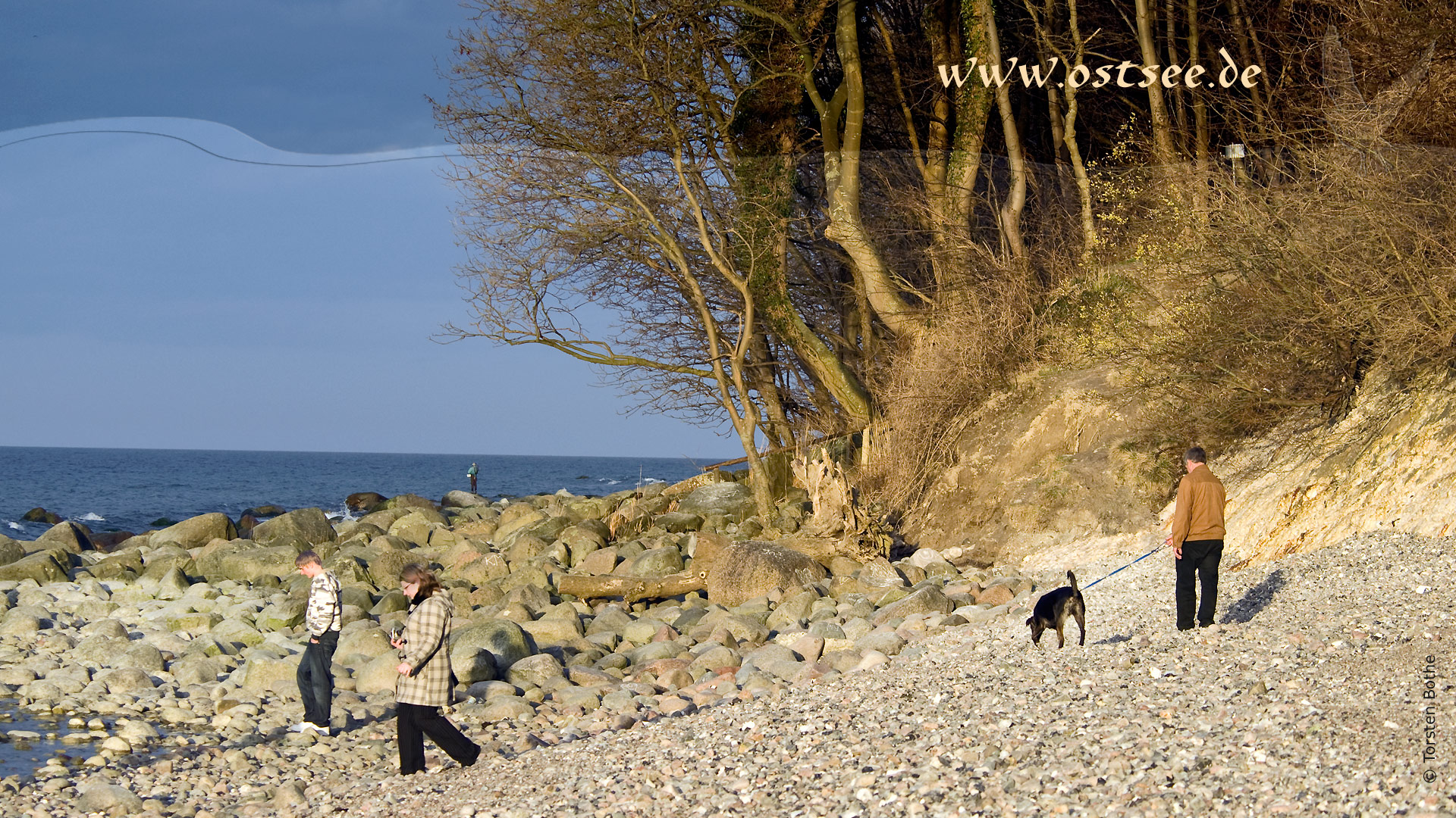 Naturstrand an der Ostsee