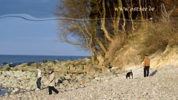 Naturstrand an der Ostsee