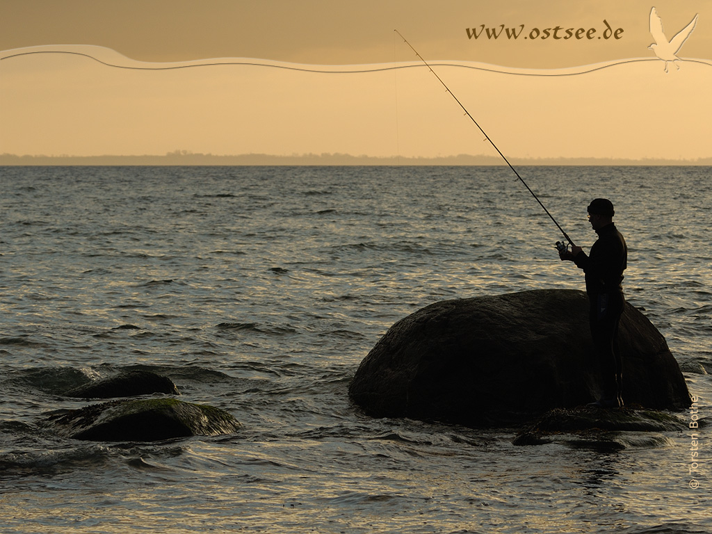 Strandangeln an der Ostsee