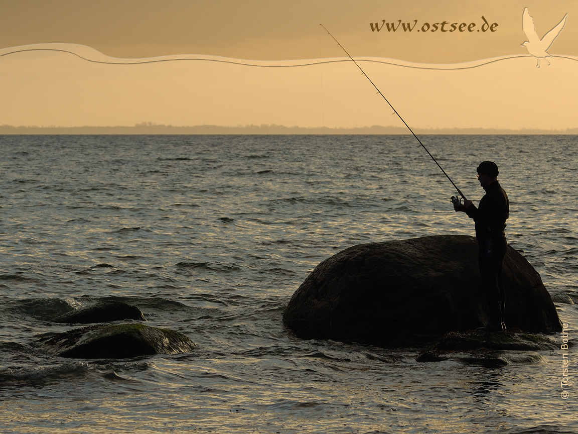 Hintergrundbild: Strandangeln an der Ostsee