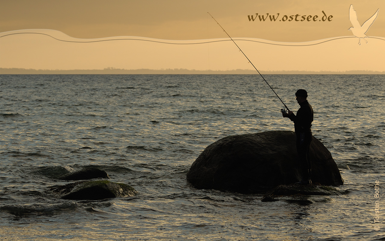 Hintergrundbild: Strandangeln an der Ostsee