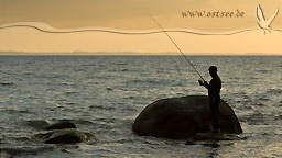 Strandangeln an der Ostsee