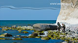 Strandangeln an der Ostsee