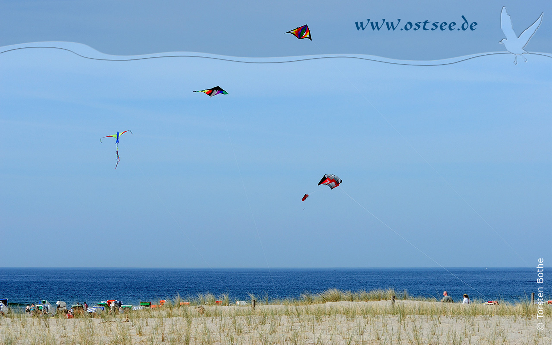 Hintergrundbild: Drachensteigen an der Ostsee