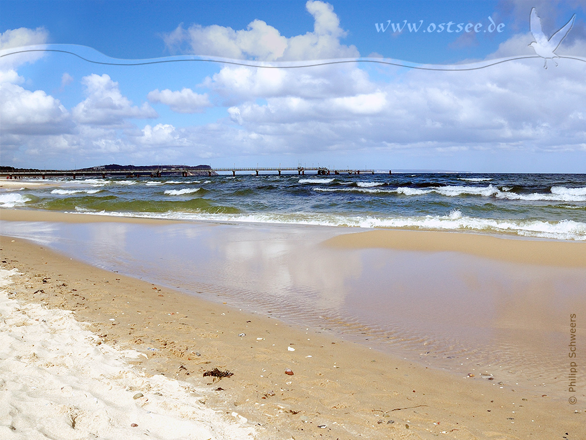 Hintergrundbild: Strand und Seebrücke an der Ostsee